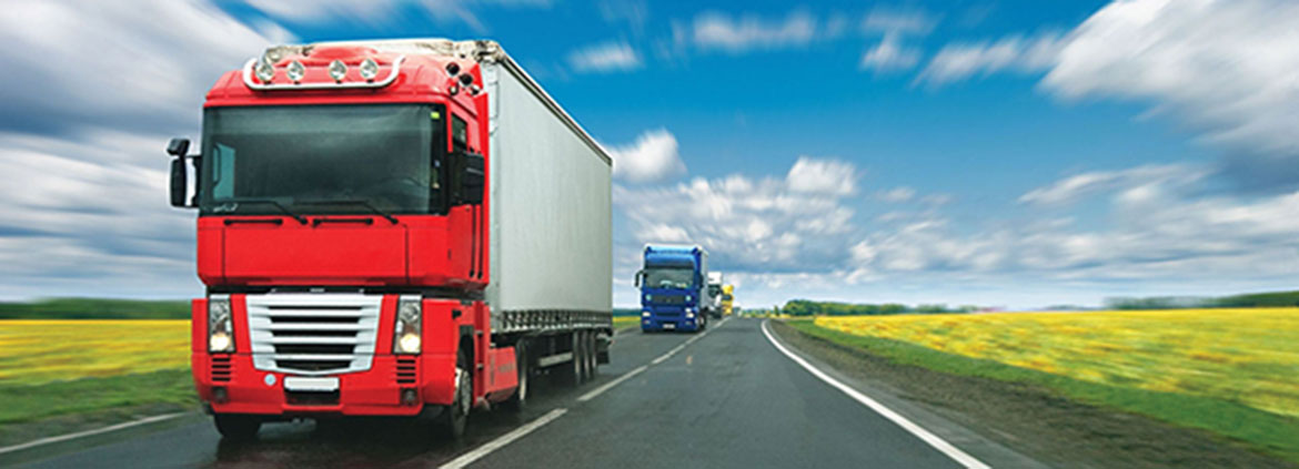domain overseas logistics service provider